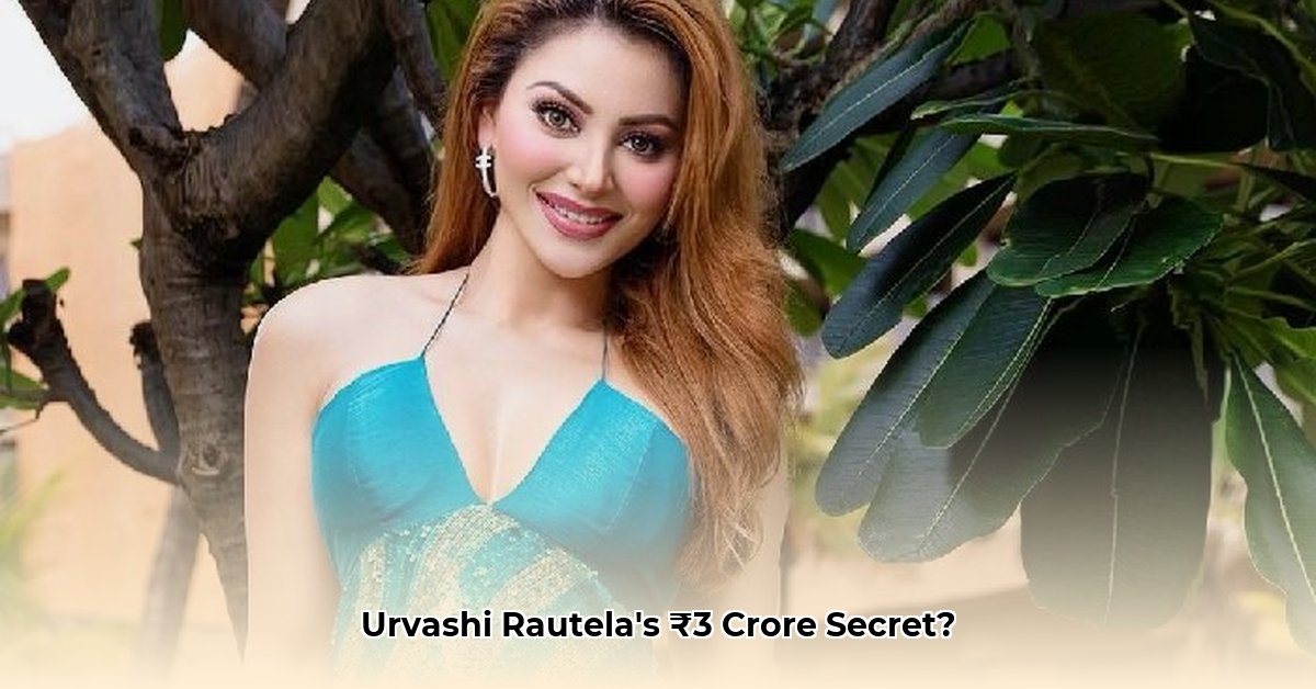 urvashi-rautela-net-worth
